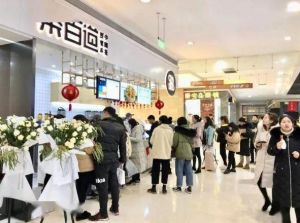 青岛乐鱼VIP加盟费是多少？